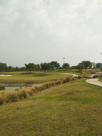 Ambience Golf Greens